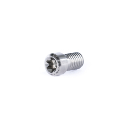 Ethic Titanium Clamp Screw Raw